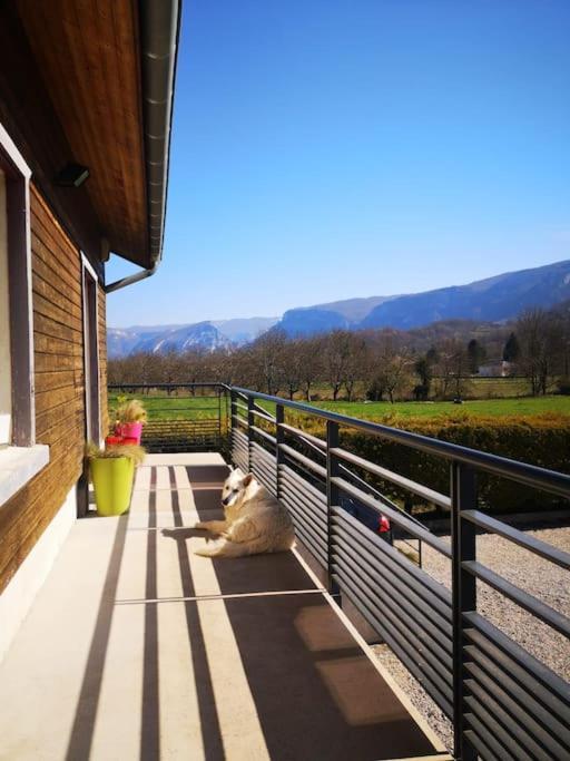 Balcons Du Royans.Logement Entier Piscine Saint-Jean-en-Royans Εξωτερικό φωτογραφία